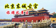 国产操逼电影网站中国北京-东城古宫旅游风景区